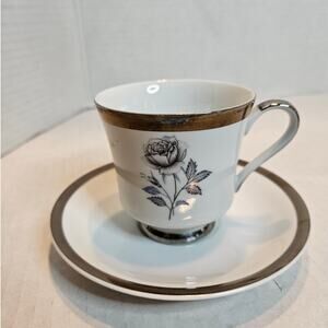 Teacup and Saucer Royal Song Fine China "Moonlight Rose" 1960's Black Gray Rose